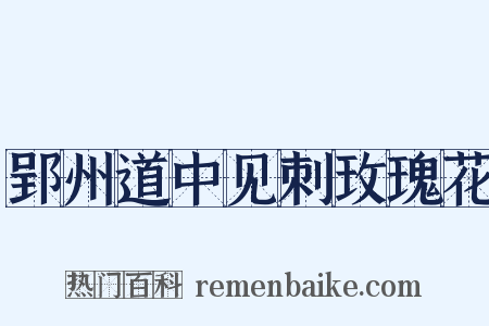 郢州道中见刺玫瑰花是什么意思的图片